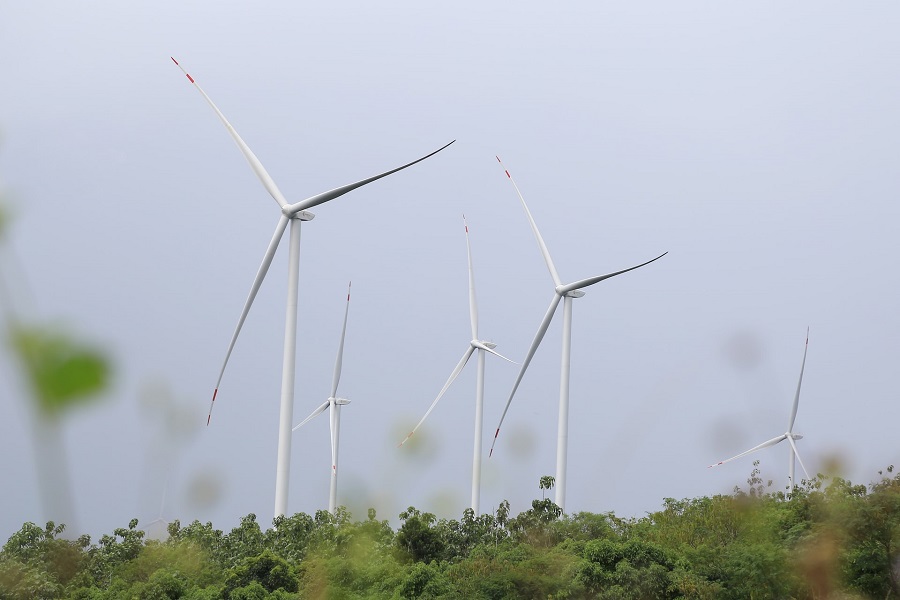 Lâm Đồng – Những cánh gió xuân mở lối tương lai xanh