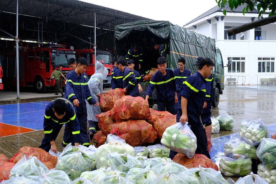 Lực lượng C&ocirc;ng an L&acirc;m Đồng huy động, tiếp nhận rau xanh hỗ trợ người d&acirc;n v&ugrave;ng lũ