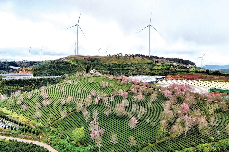 Những c&aacute;nh quạt quay trong gi&oacute;, tạo khung cảnh h&agrave;i h&ograve;a giữa thi&ecirc;n nhi&ecirc;n v&agrave; c&ocirc;ng nghệ giao thoa