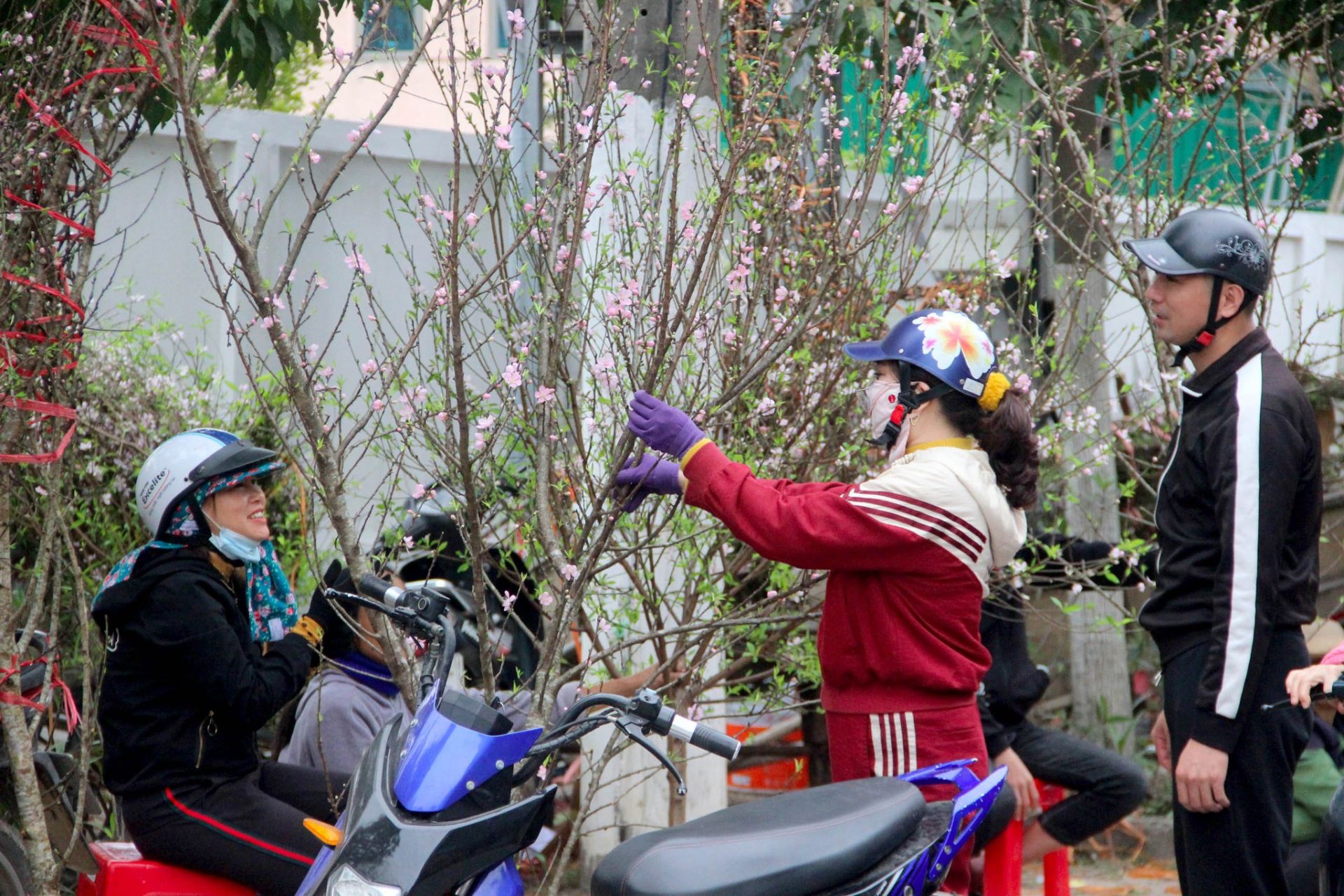 Thời tiết Tết Nguyên đán: Miền Bắc có thể đón không khí lạnh đúng đêm Giao thừa