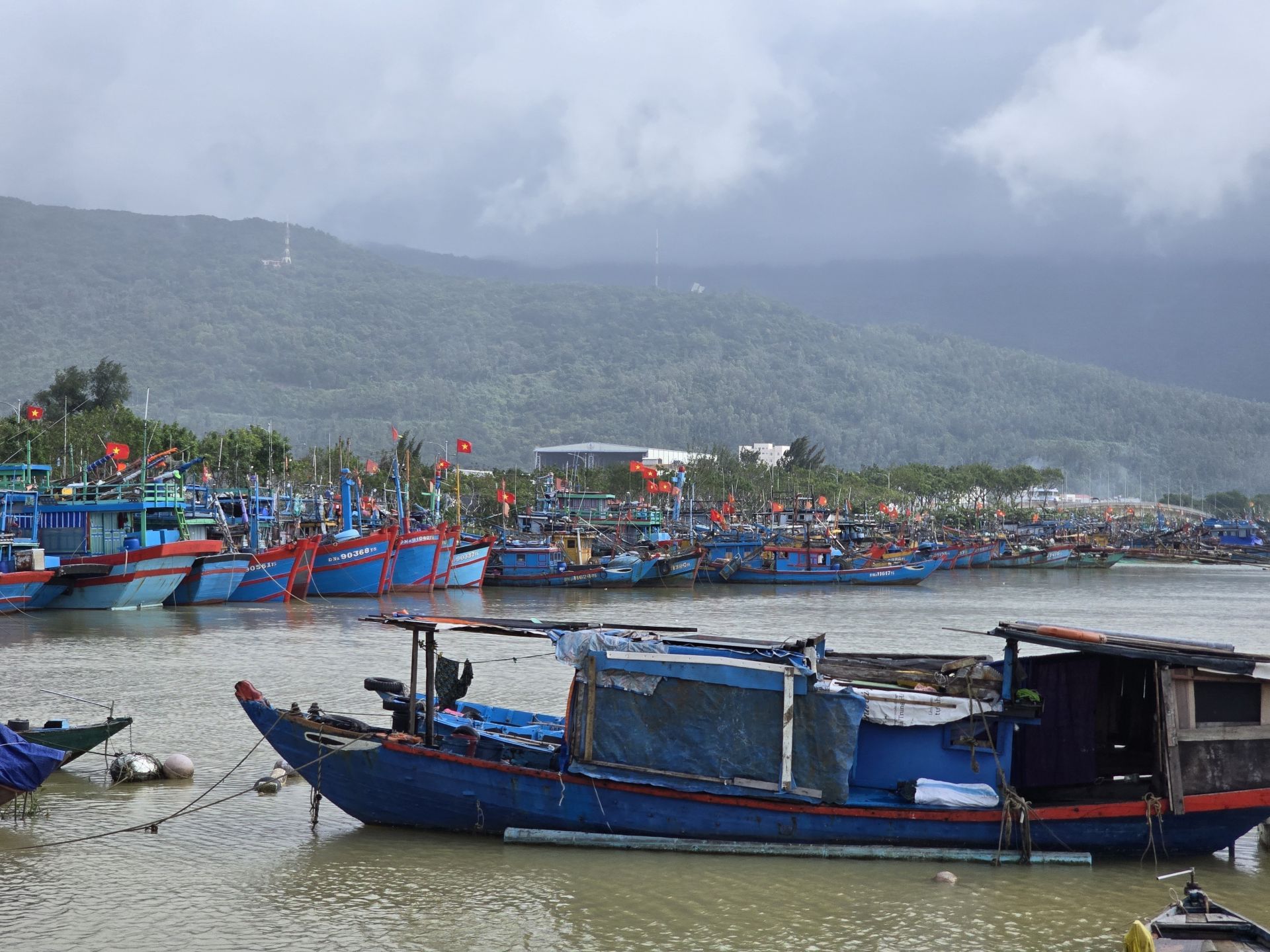 Bầu cử Quốc hội và HĐND: Ngư dân Đà Nẵng đặt trọn niềm tin vào lá phiếu