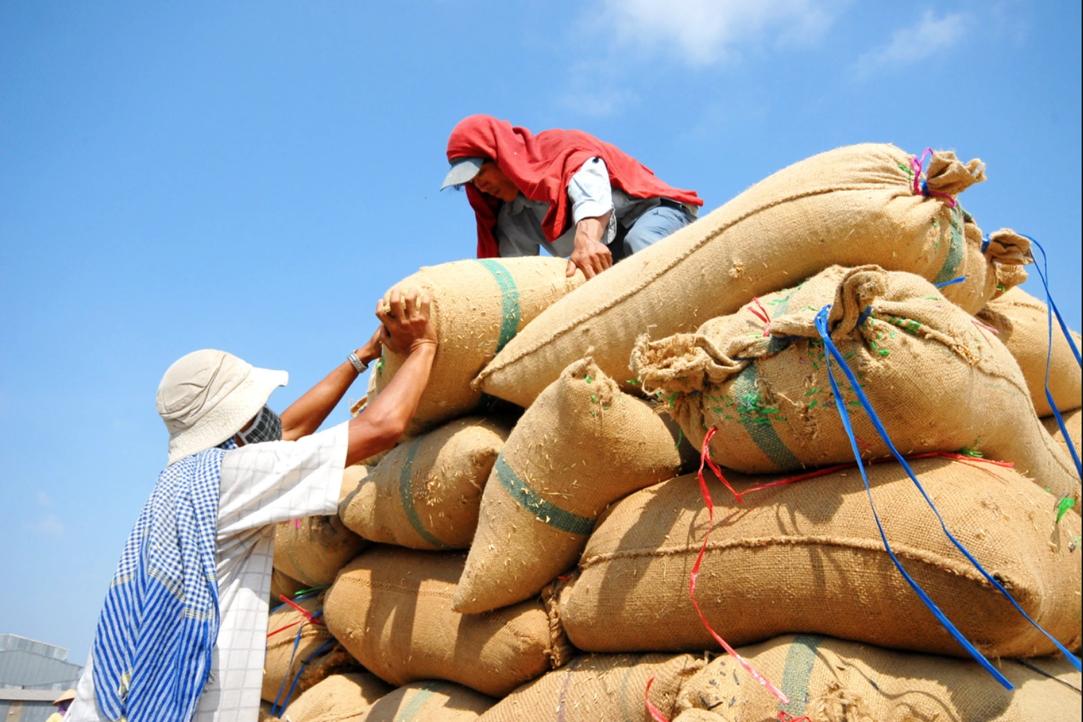 Việt Nam miễn thuế nhập khẩu 300.000 tấn gạo từ Campuchia trong năm 2026