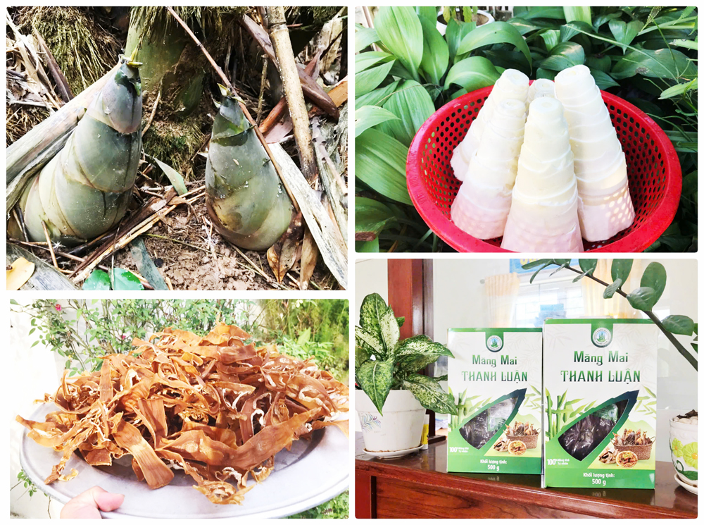 Sản phẩm OCOP măng mai Thanh Luận ở x&atilde; Sơn Động được người ti&ecirc;u d&ugrave;ng ưa chuộng.