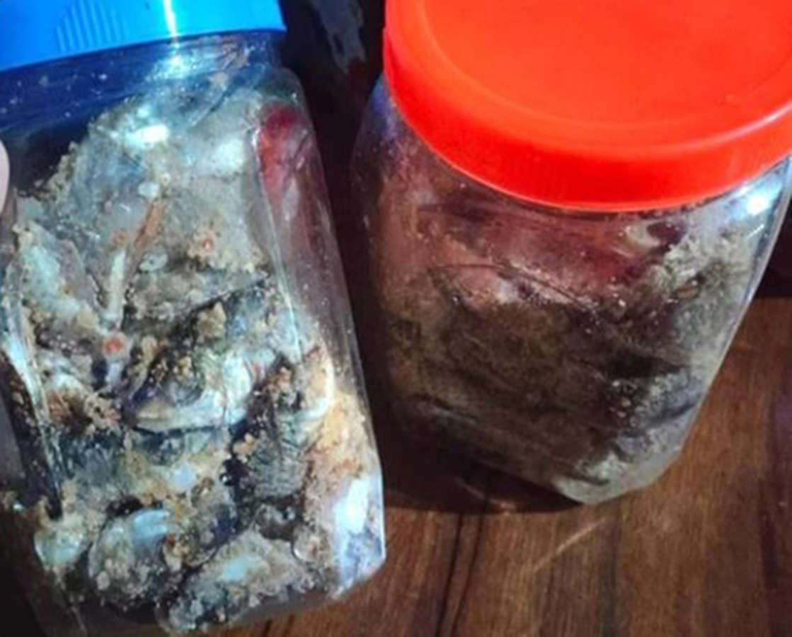 Tiềm ẩn nguy cơ ngộ độc độc tố Botulinum nguy hiểm từ m&oacute;n c&aacute; ủ chua