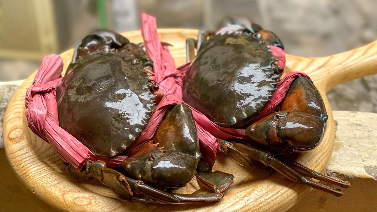 Giá cua biển Cà Mau tăng vọt cận Tết, loại lớn chạm 1,1 triệu đồng/kg