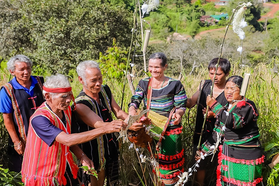 Đồng b&agrave;o Mạ phường Đ&ocirc;ng Gia Nghĩa l&agrave;m lễ c&uacute;ng l&uacute;a
