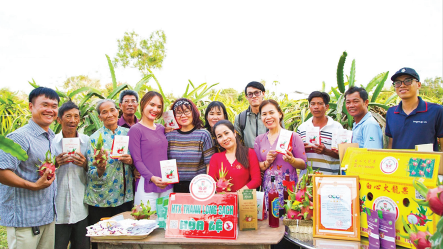 Tr&aacute;i thanh long L&acirc;m Đồng được n&acirc;ng tầm với quy tr&igrave;nh ti&ecirc;u chuẩn, sản phẩm đa dạng v&agrave; bao b&igrave; hấp dẫn.