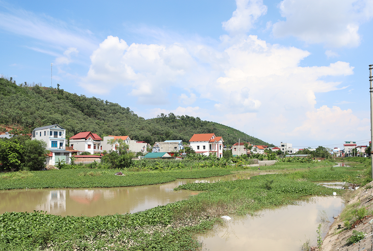 Bắc Ninh: Tập trung rà soát các dự án đầu tư đang triển khai ngoài đê, các bãi sông