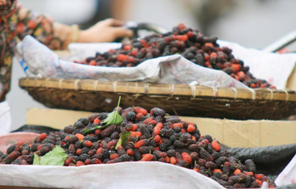 Lợi ích bất ngờ từ loại quả quen thuộc mang tên dâu tằm