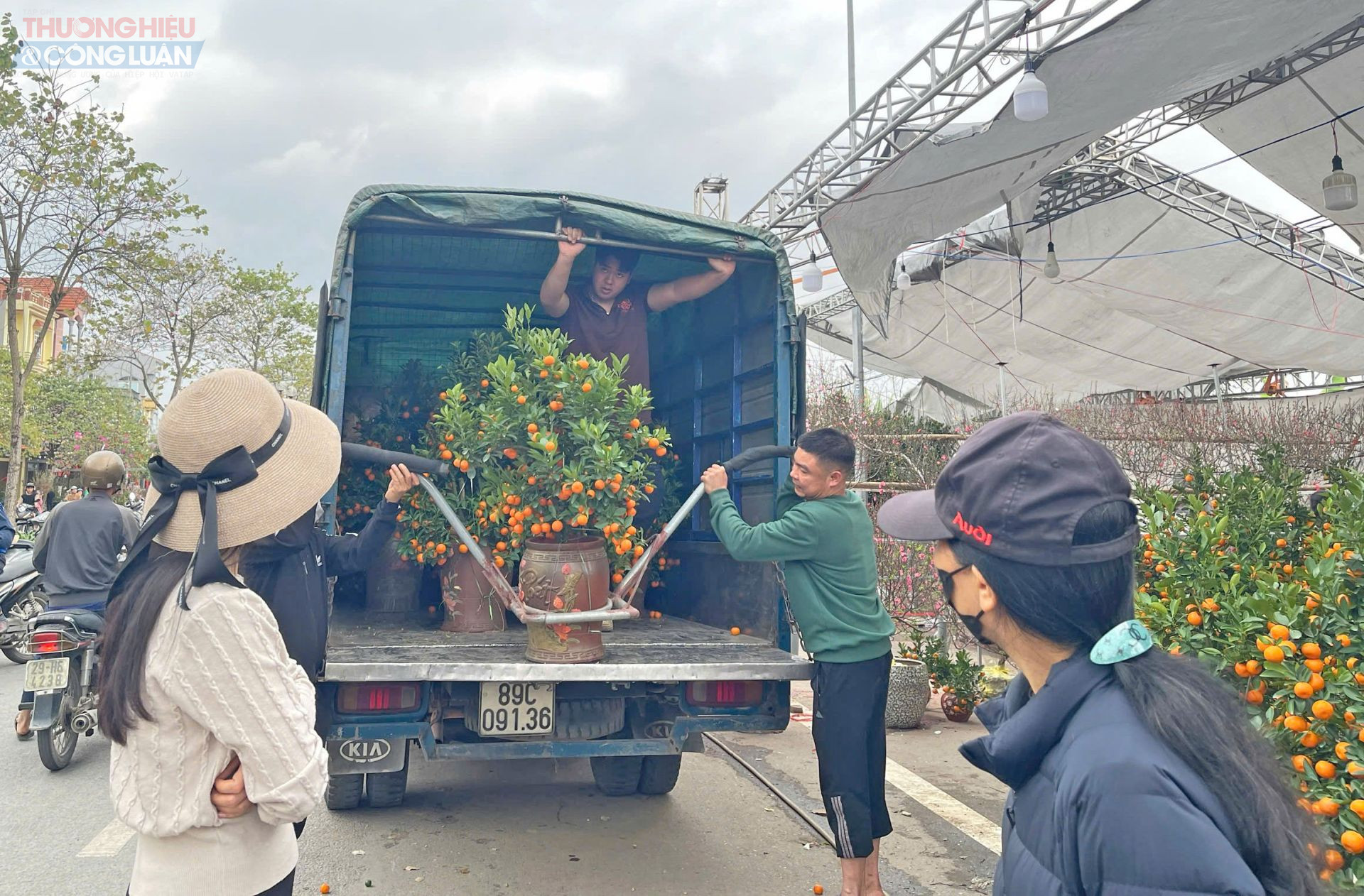Những chậu quất được c&aacute;c nh&agrave; vườn đưa ra chợ hoa Xu&acirc;n để phục vụ người d&acirc;n mua sắm dịp
