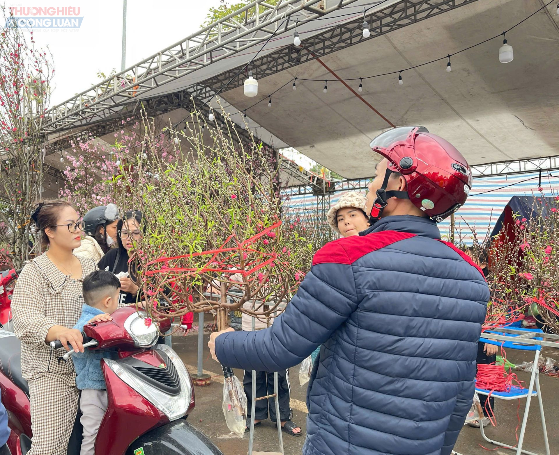 Chợ hoa Xuân 2026 ở Phố Hiến: Không gian mới rộng rãi, mua sắm rộn ràng những ngày giáp Tết