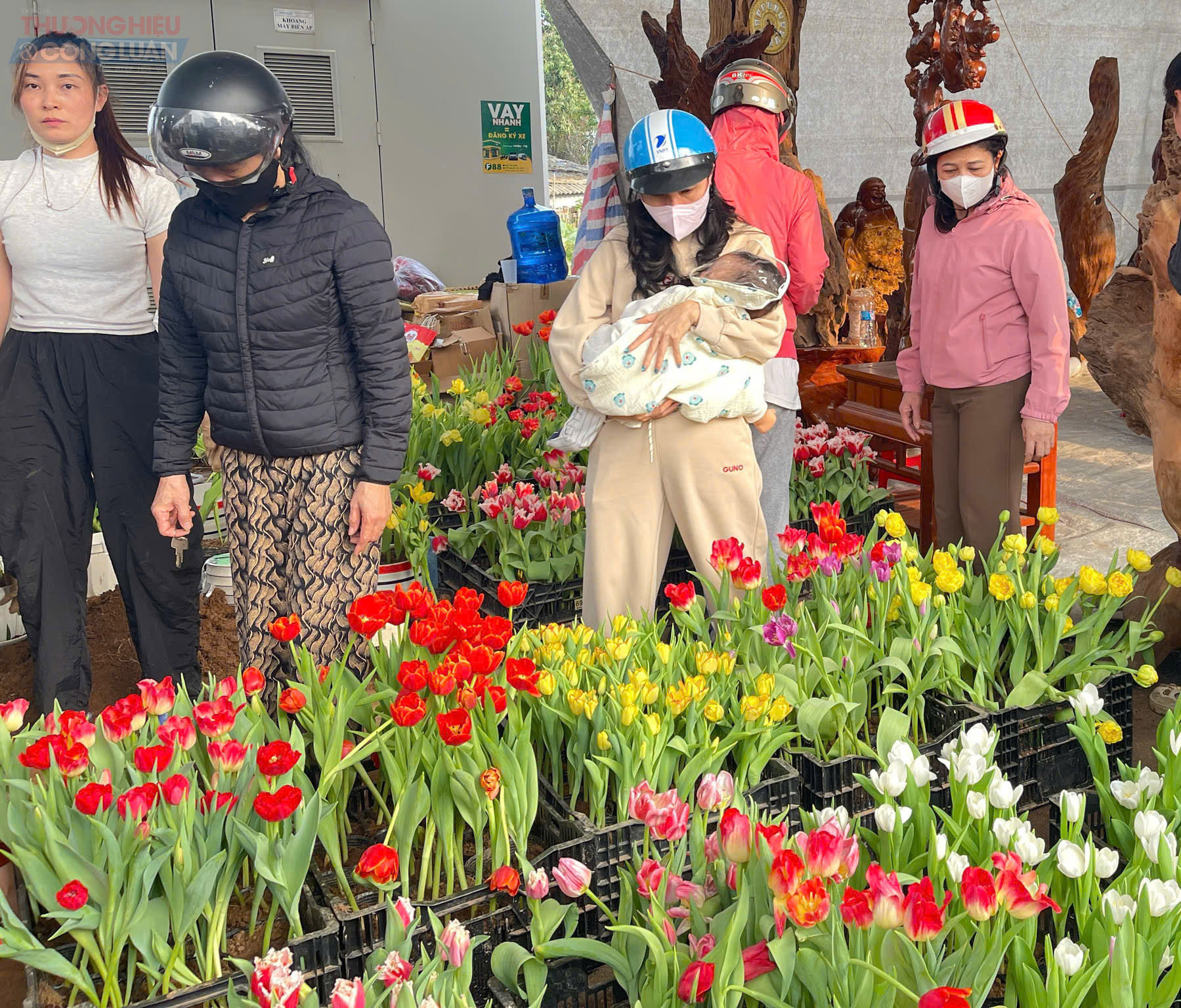Nhiều loại hoa như lan, c&uacute;c, đồng tiền, thược dược&hellip; được b&agrave;y b&aacute;n phục vụ nhu cầu mua sắm, trang tr&iacute; Tết của người d&acirc;n.