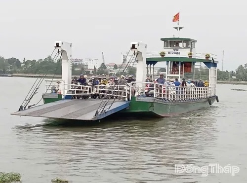 Đồng Tháp đảm bảo hoạt động đò ngang phục vụ nhu cầu đi lại trong dịp Tết