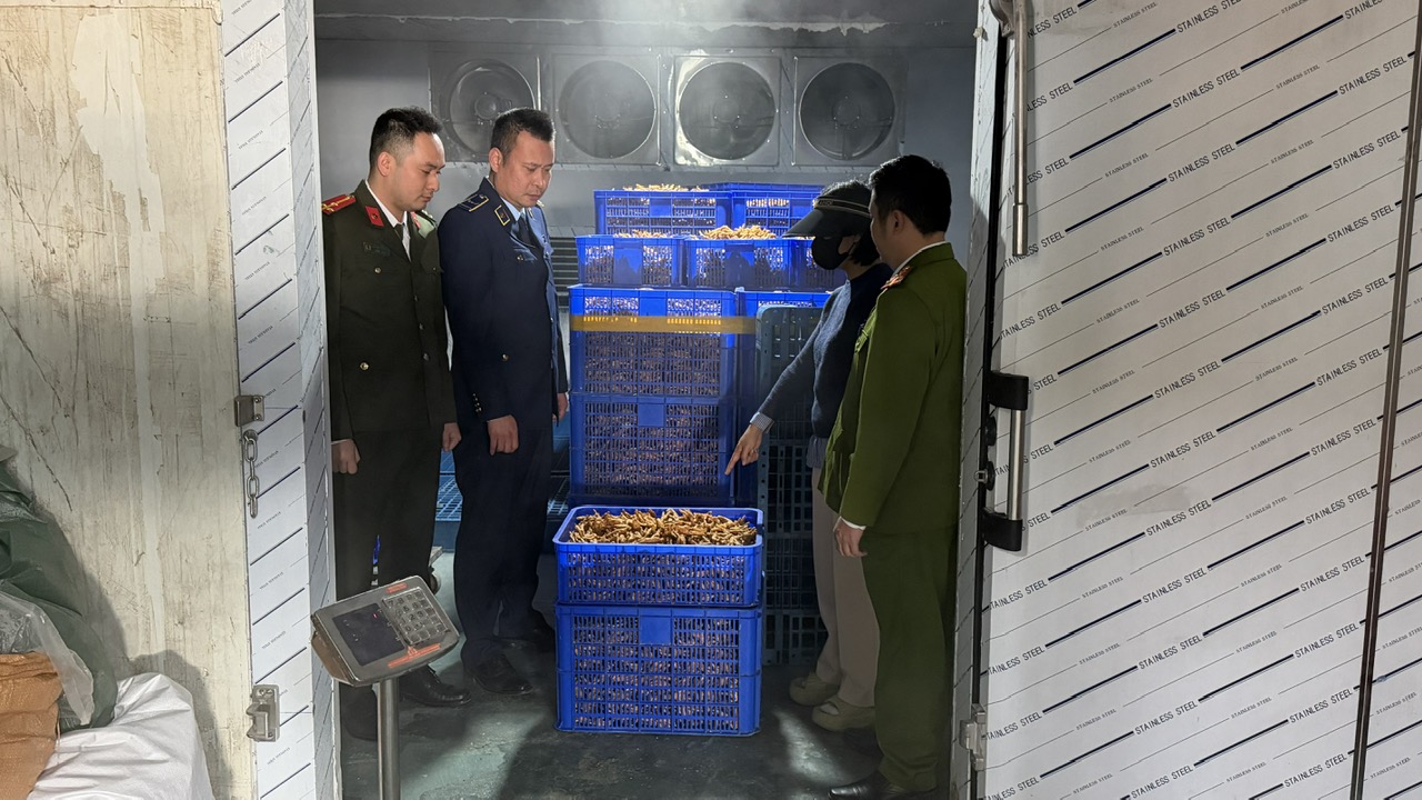 Lực lượng QLTT tỉnh Quảng Ninh ph&aacute;t hiện 5.500 kg ch&acirc;n g&agrave; qua sơ chế kh&ocirc;ng r&otilde; nguồn gốc, xuất xứ tại Kho h&agrave;ng của C&ocirc;ng ty TNHH MTV Ho&agrave;ng Minh MC. Ảnh: KT