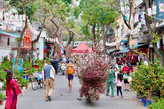 Đ&agrave;o, quất, c&aacute;c loại hoa, c&acirc;y cảnh được chuyển về H&agrave;ng Lược, rồi từ đ&acirc;y, sắc xu&acirc;n lại lan toả đi khắp c&aacute;c phố phường. Ảnh: VGP/TL
