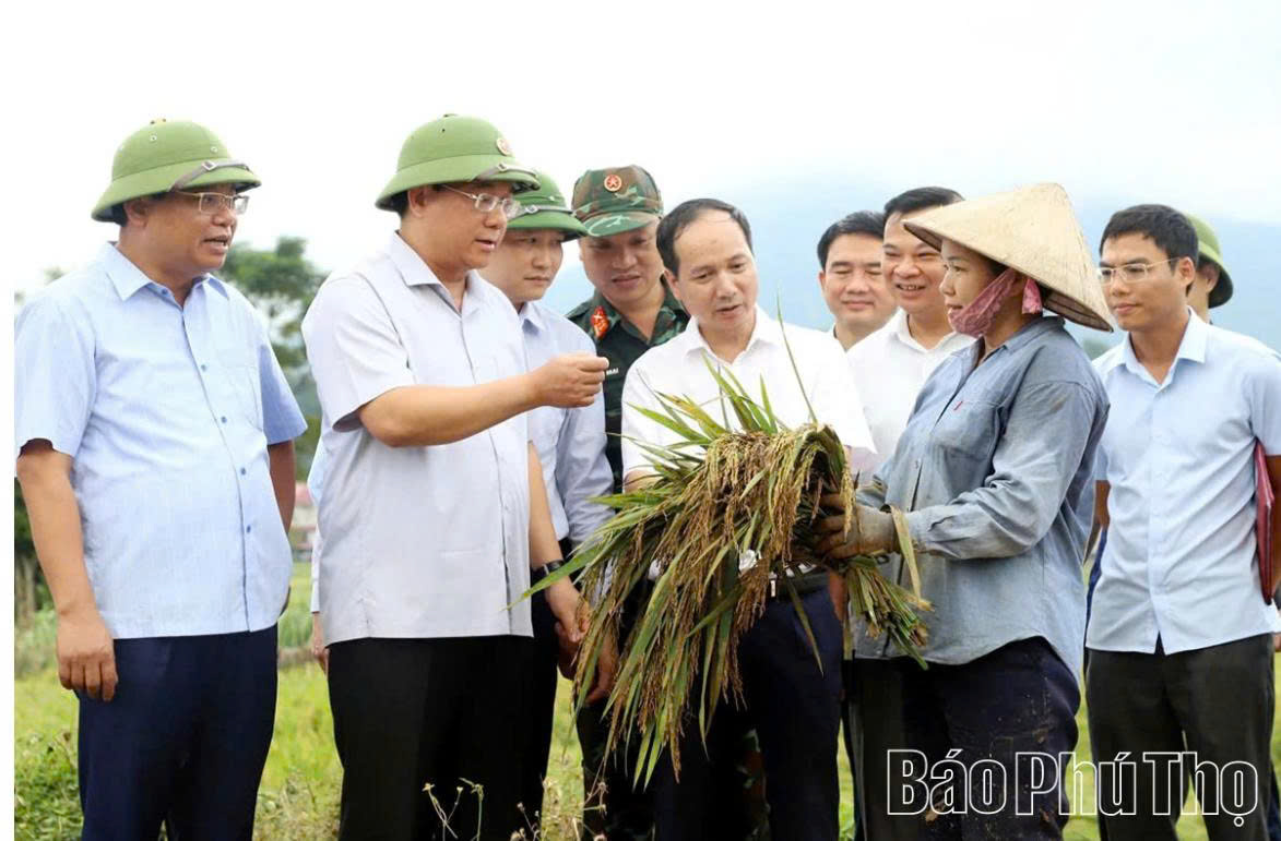 Phú Thọ phát huy nội lực, tạo động lực tăng trưởng hai con số cho năm 2026