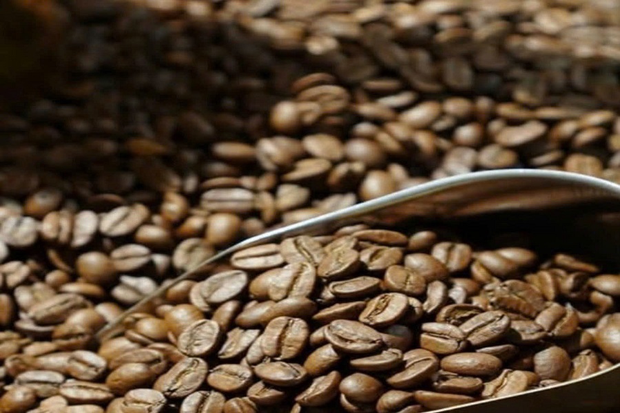 Năm 2025 kim ngạch xuất khẩu c&agrave; ph&ecirc; đạt kỷ lục 9 tỷ USD. Dự kiến năng suất năm 2026 c&oacute; thể tăng th&ecirc;m 5&ndash;10%.