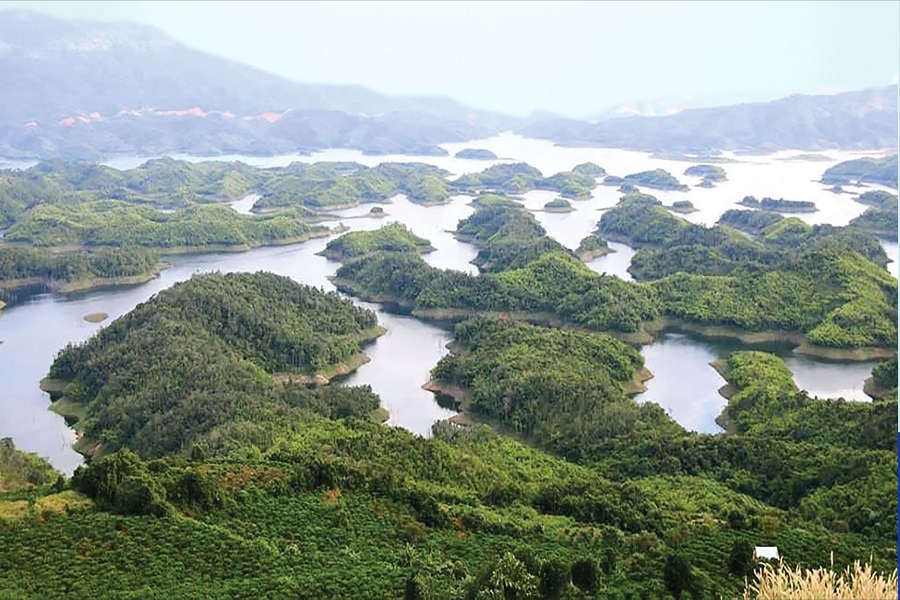 Xuân về với Tà Đùng – Bản giao hưởng xanh giữa đại ngàn Lâm Đồng