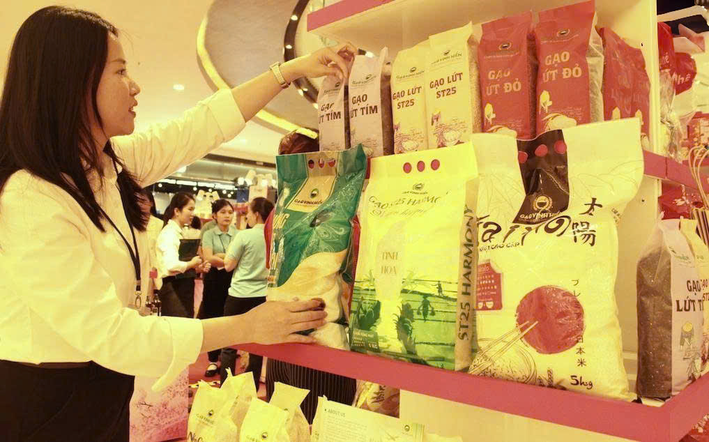 Từ ruộng nhỏ đến chuỗi lớn: Nông nghiệp Việt bước vào thời kỳ chuyên nghiệp hóa