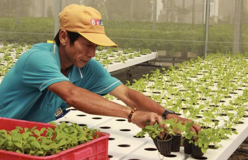 Người n&ocirc;ng d&acirc;n chuy&ecirc;n nghiệp đ&ograve;i hỏi am hiểu c&acirc;y trồng, giống, vật nu&ocirc;i, c&oacute; như vậy mới x&acirc;y dựng được thương hiệu n&ocirc;ng sản v&agrave; x&acirc;y dựng được thị trường.