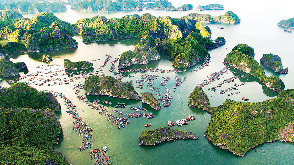 Du lịch Việt Nam cần một chính sách tương xứng để bứt phá thành ngành kinh tế mũi nhọn