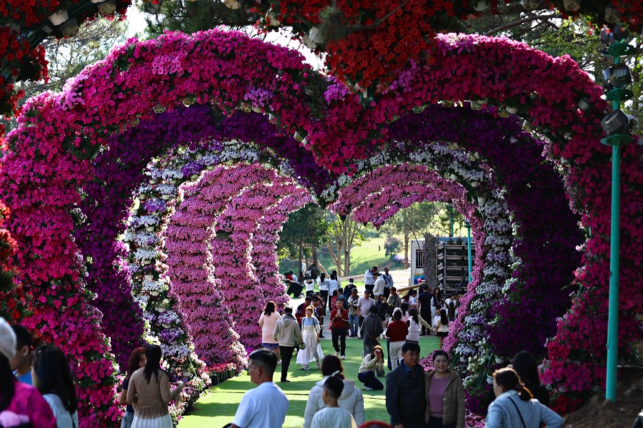 Hàng ngàn lượt du khách chọn vui chơi tại các điểm du lịch ở Đà Lạt những ngày đầu năm Hàng ngàn lượt du khách chọn vui chơi tại các điểm du lịch ở Đà Lạt những ngày đầu năm