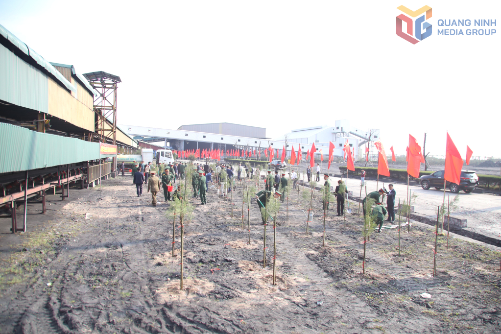 Công ty Tuyển than Cửa Ông phát động “Tết trồng cây đời đời nhớ ơn Bác Hồ” Xuân Bính Ngọ 2026