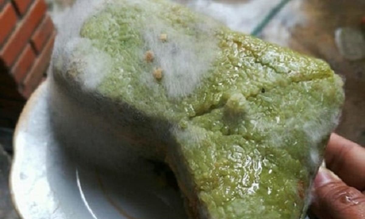 B&aacute;nh chưng mốc kh&ocirc;ng chỉ mất vị Tết m&agrave; c&ograve;n tiềm ẩn độc tố nguy hiểm, đ&acirc;u l&agrave; l&yacute; do khiến loại b&aacute;nh n&agrave;y dễ bị thiu mốc