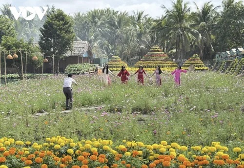 Cần Thơ ước đón khoảng 476.640 lượt khách tham quan những ngày nghỉ Tết Nguyên đán Bính Ngọ