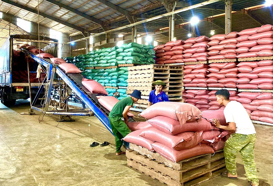 Gia Lai hỗ trợ pháp lý liên ngành cho doanh nghiệp nhỏ và vừa, hộ kinh doanh giai đoạn 2026-2030