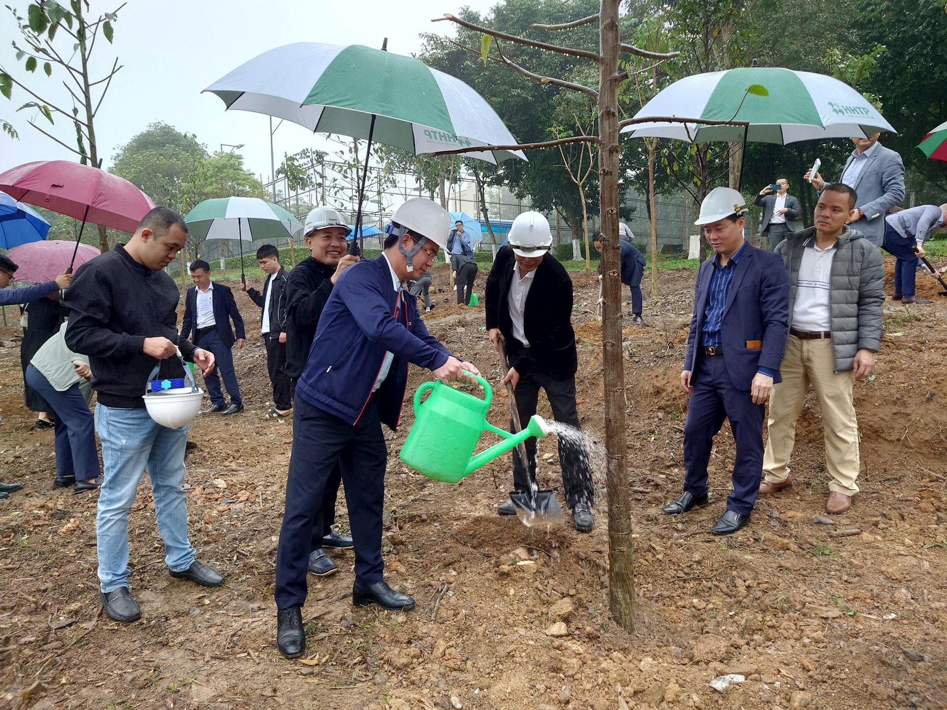Cán bộ, nhân viên phát động “Tết trồng cây - Đời đời nhớ ơn Bác Hồ”. Cán bộ, nhân viên phát động “Tết trồng cây - Đời đời nhớ ơn Bác Hồ”.