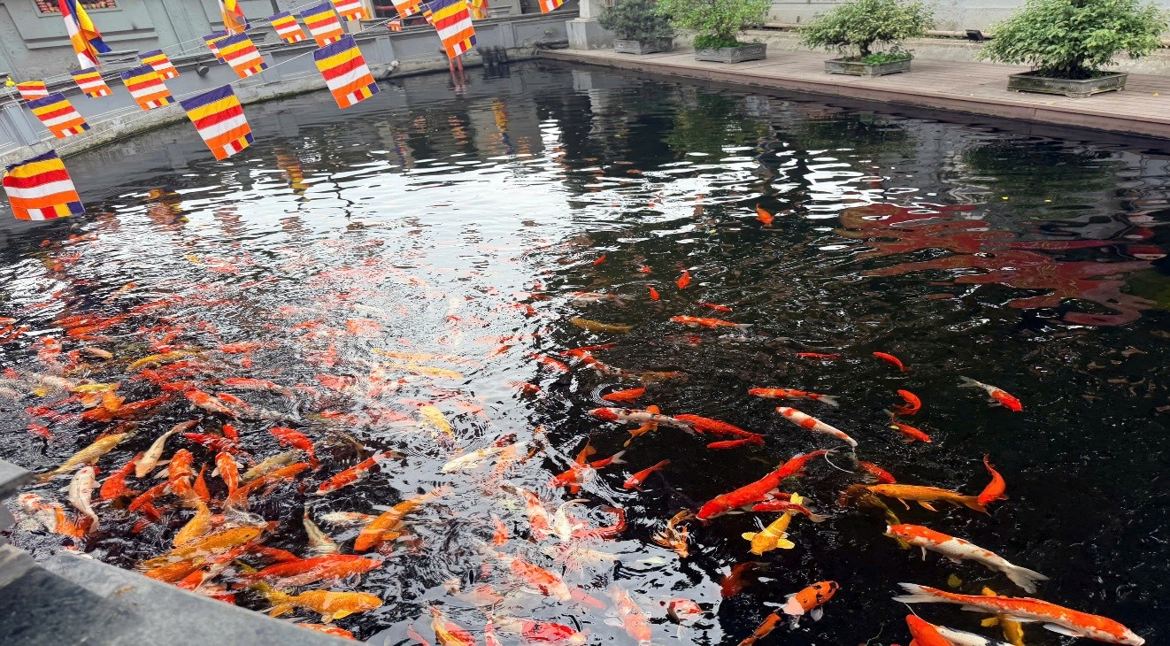 Hồ c&aacute; trong khu&ocirc;n vi&ecirc;n di t&iacute;ch trở th&agrave;nh điểm nhấn sinh động, thu h&uacute;t Nh&acirc;n d&acirc;n v&agrave; du kh&aacute;ch tham quan dịp đầu năm mới.