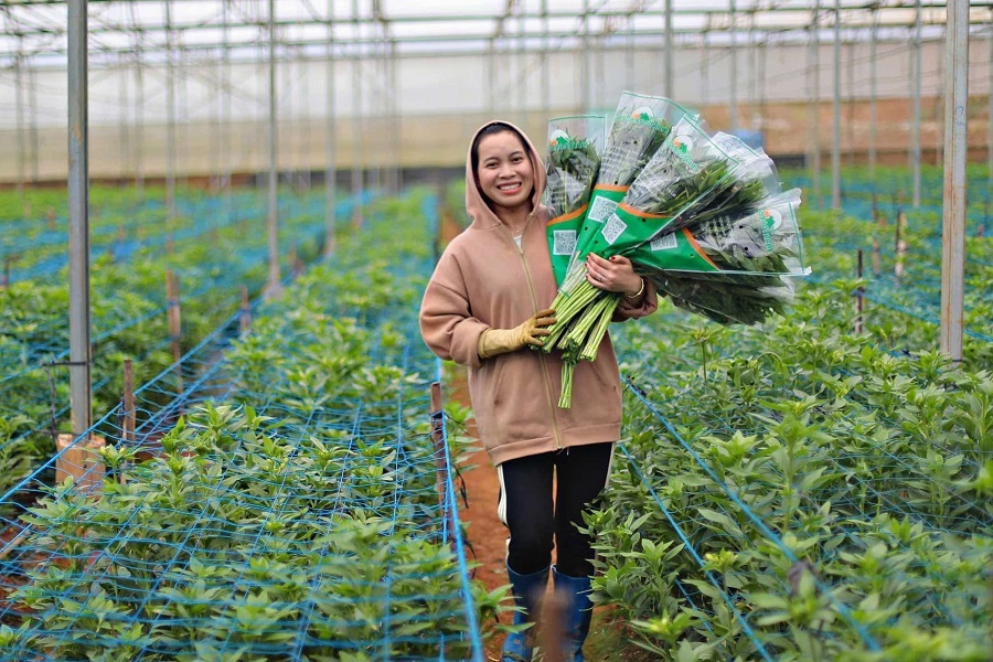 Lâm Đồng: Nông dân khởi động vụ rau, hoa mới ngay sau Tết