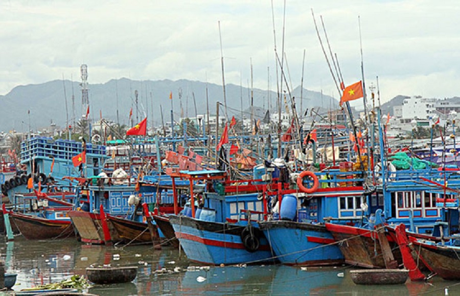 Hiện to&agrave;n tỉnh c&oacute; gần 1.000 t&agrave;u khai th&aacute;c thủy sản, hoạt động ở nhiều ngư trường xa