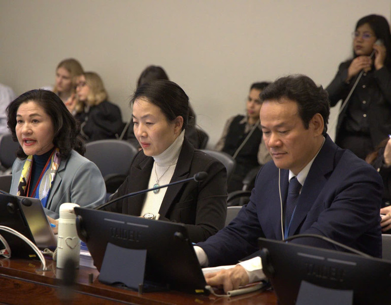 Đại sứ Mai Phan Dũng v&agrave; Đo&agrave;n đại biểu li&ecirc;n ng&agrave;nh Việt Nam tham dự Phi&ecirc;n bảo vệ B&aacute;o c&aacute;o quốc gia lần thứ 9 về thực thi C&ocirc;ng ước x&oacute;a bỏ mọi h&igrave;nh thức ph&acirc;n biệt đối xử chống lại phụ nữ (CEDAW)