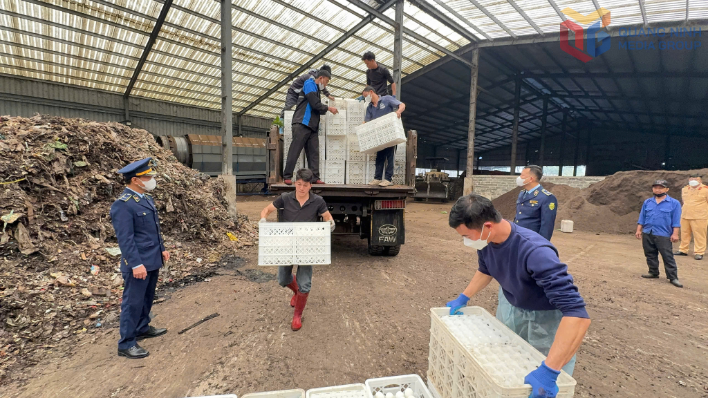 Lực lượng chức năng ti&ecirc;u huỷ to&agrave;n bộ số trứng gia cầm bắt giữ