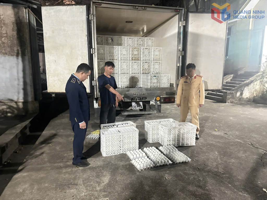 Quảng Ninh tiêu hủy gần 29.000 quả trứng gia cầm không rõ nguồn gốc