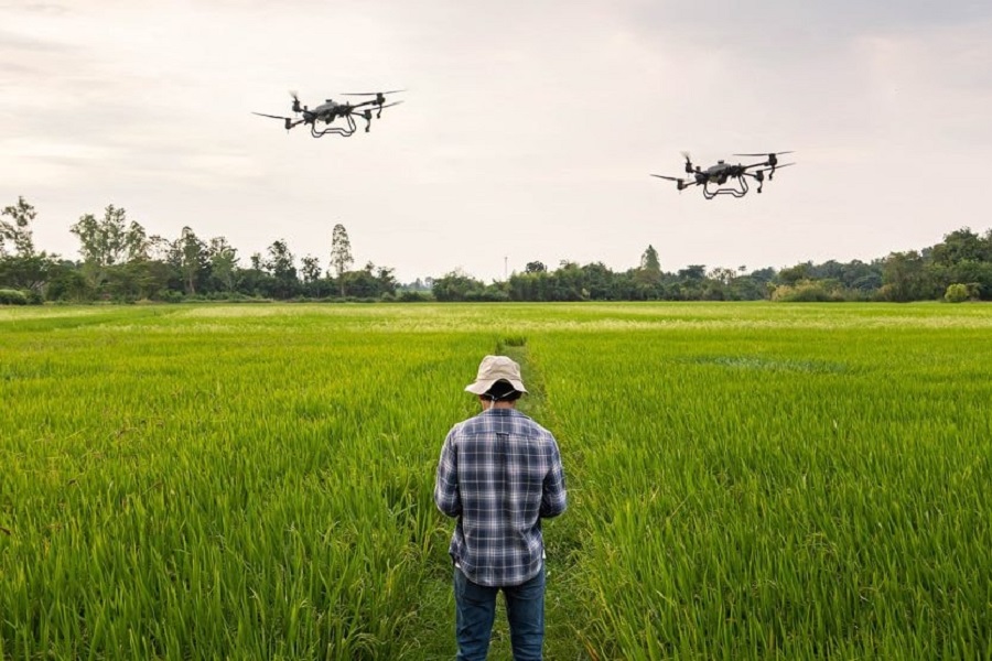 Tín dụng xanh đang tạo ra cơ hội kinh doanh cho các ngân hàng, đặc biệt trong lĩnh vực nông nghiệp xanh, tái tạo xanh... Tín dụng xanh đang tạo ra cơ hội kinh doanh cho các ngân hàng, đặc biệt trong lĩnh vực nông nghiệp xanh, tái tạo xanh...