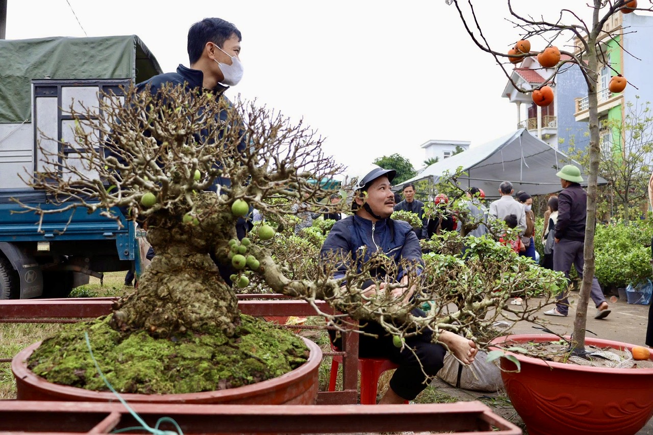 Ngo&agrave;i ra c&ograve;n c&oacute; những c&acirc;y cảnh độc lạ c&oacute; gi&aacute; trị cao, được người chơi c&acirc;y quan t&acirc;m.