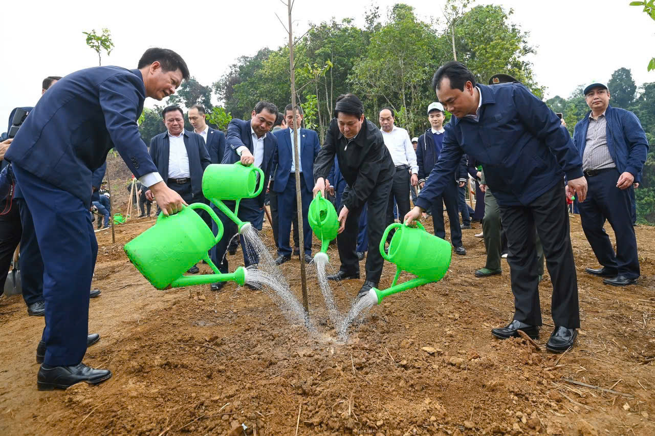 Chủ tịch nước cùng các đồng chí lãnh đạo Trung ương và địa phương tham gia trồng cây lưu niệm hưởng ứng phong trào đầu xuân. Chủ tịch nước cùng các đồng chí lãnh đạo Trung ương và địa phương tham gia trồng cây lưu niệm hưởng ứng phong trào đầu xuân.