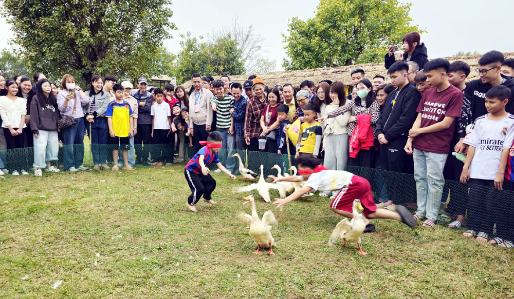 Tr&ograve; chơi bịt mắt bắt vịt thu h&uacute;t nhiều người tham gia, cỗ vũ.