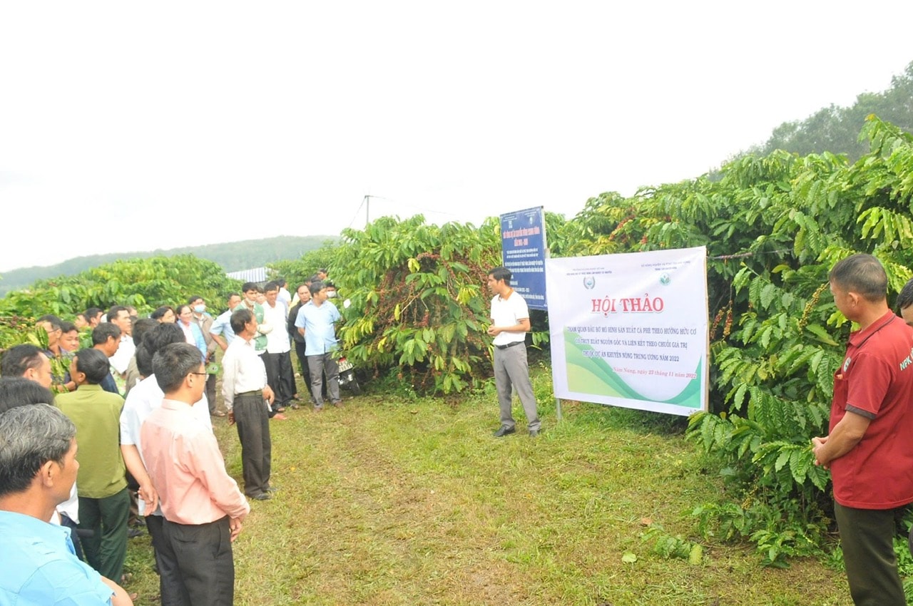 Chỉ dẫn địa lý “Cà phê Lâm Đồng” được cấp cho hai dòng arabica và robusta dưới dạng cà phê nhân, hạt rang và cà phê bột. Chỉ dẫn địa lý “Cà phê Lâm Đồng” được cấp cho hai dòng arabica và robusta dưới dạng cà phê nhân, hạt rang và cà phê bột.