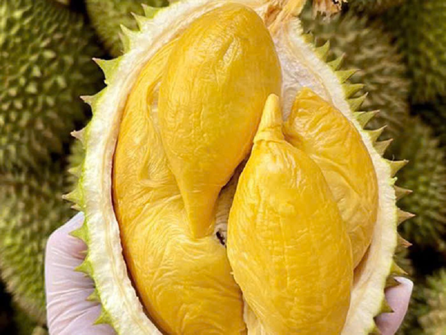 Gi&aacute; sầu ri&ecirc;ng h&ocirc;m nay 23/2: Sầu ri&ecirc;ng Ri6 tăng trở lại