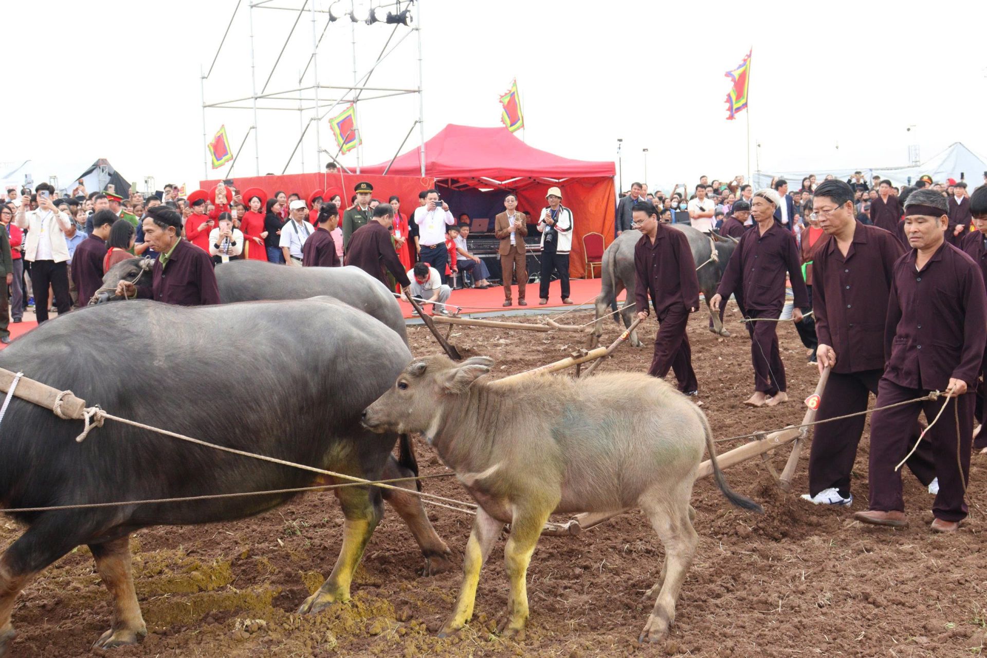 Điểm nhấn của lễ hội là nghi thức cày tịch điền – tái hiện hình ảnh nhà vua xuống đồng. Trong tiếng trống hội dồn dập và lời chúc mùa màng tươi tốt, lãnh đạo tỉnh cùng biểu tượng vua thực hiện những đường cày đầu tiên, gửi gắm thông điệp về một năm mới mưa thuận gió hòa, sản xuất phát triển, đời sống nhân dân ấm no. Điểm nhấn của lễ hội là nghi thức cày tịch điền – tái hiện hình ảnh nhà vua xuống đồng. Trong tiếng trống hội dồn dập và lời chúc mùa màng tươi tốt, lãnh đạo tỉnh cùng biểu tượng vua thực hiện những đường cày đầu tiên, gửi gắm thông điệp về một năm mới mưa thuận gió hòa, sản xuất phát triển, đời sống nhân dân ấm no.