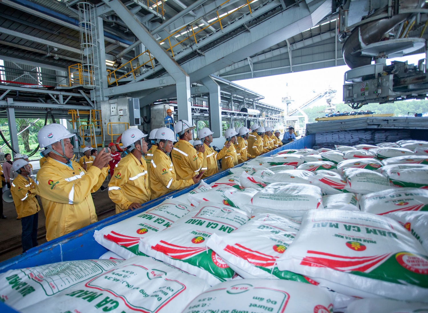 Ph&acirc;n b&oacute;n C&agrave; Mau mở rộng thị trường bằng chất lượng đạt chuẩn quốc tế