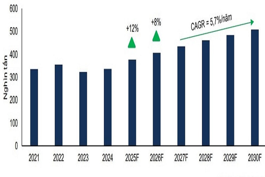 Dự ph&oacute;ng tăng trưởng sản lượng ống nhựa t&iacute;ch cực trong giai đoạn 2025 &ndash; 2026F - Nguồn: FPTS dự ph&oacute;ng.