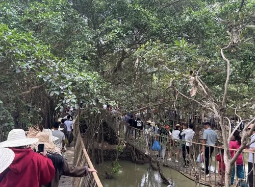 Đ&ocirc;ng đảo du kh&aacute;ch trải nghiệm tại Trung t&acirc;m Du lịch Cầu treo Bu&ocirc;n Đ&ocirc;n.