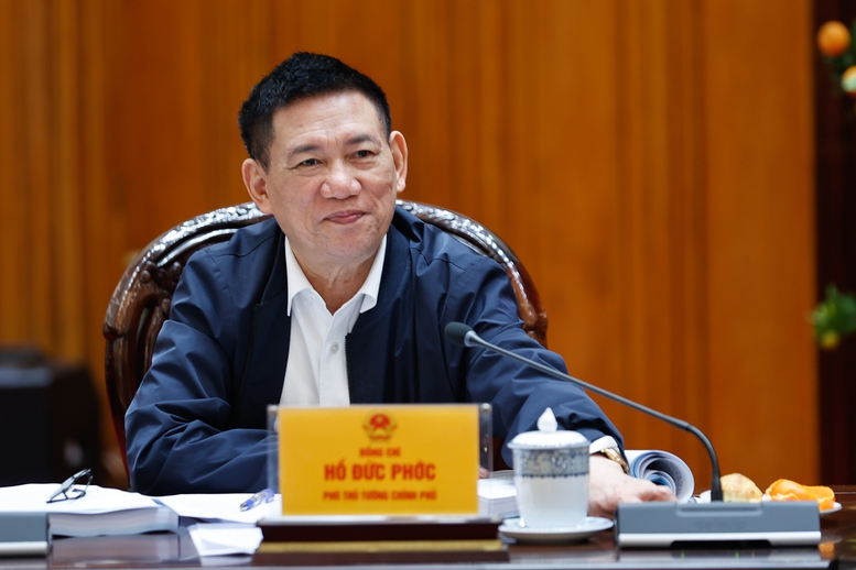 Ph&oacute; Thủ tướng Hồ Đức Phớc ph&aacute;t biểu tại phi&ecirc;n họp - Ảnh: VGP/Nhật Bắc