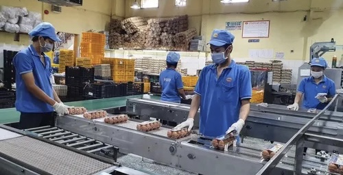 Đồng Nai: Các doanh nghiệp dự kiến tuyển dụng 173.000 lao động