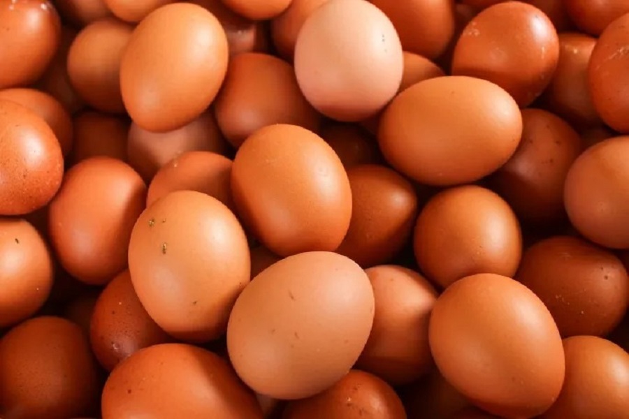 Ảnh: Shutterstock Ảnh: Shutterstock